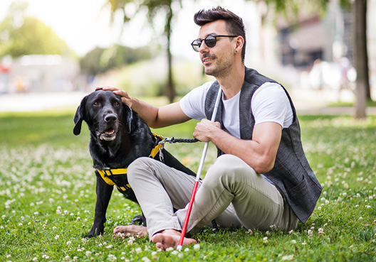 Protect Disability Insurance Protect Disability Insurance